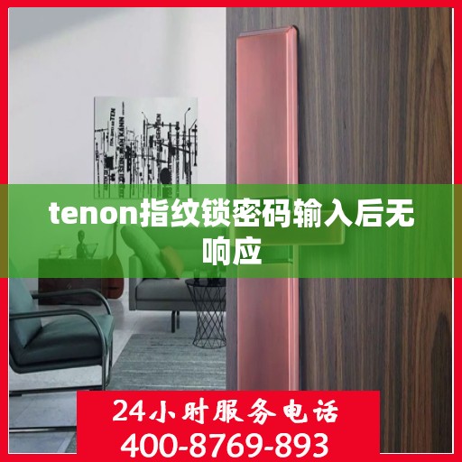 tenon指纹锁密码输入后无响应