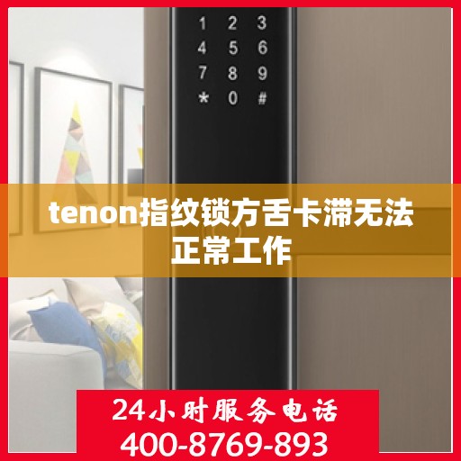 tenon指纹锁方舌卡滞无法正常工作