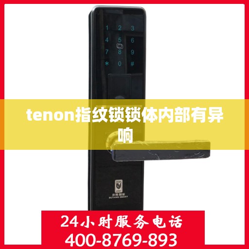 tenon指纹锁锁体内部有异响