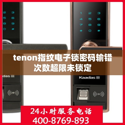 tenon指纹电子锁密码输错次数超限未锁定