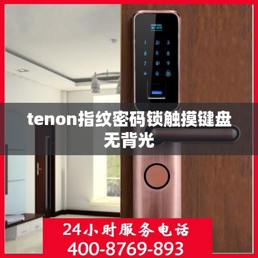 tenon指纹密码锁触摸键盘无背光