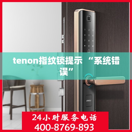 tenon指纹锁提示 “系统错误”