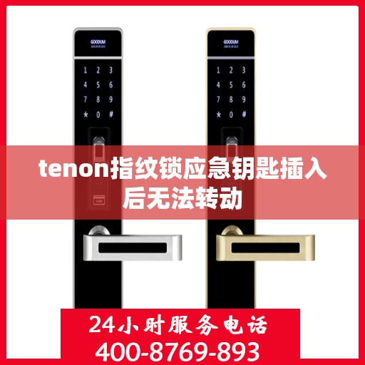 tenon指纹锁应急钥匙插入后无法转动