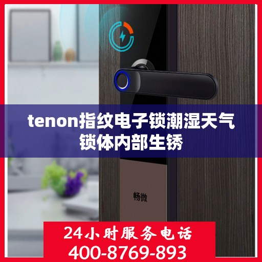 tenon指纹电子锁潮湿天气锁体内部生锈