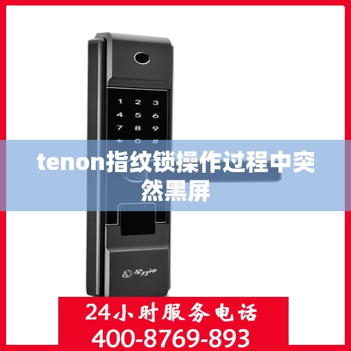 tenon指纹锁操作过程中突然黑屏