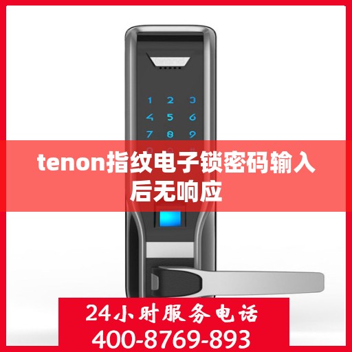 tenon指纹电子锁密码输入后无响应
