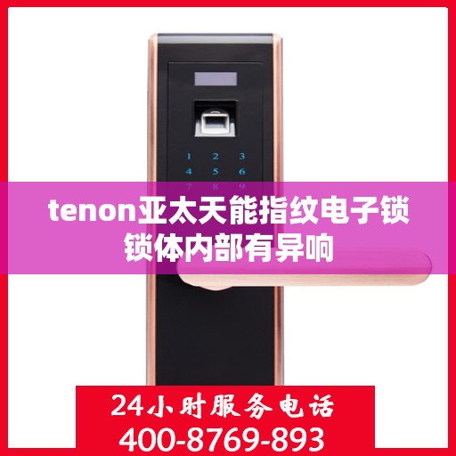 tenon亚太天能指纹电子锁锁体内部有异响