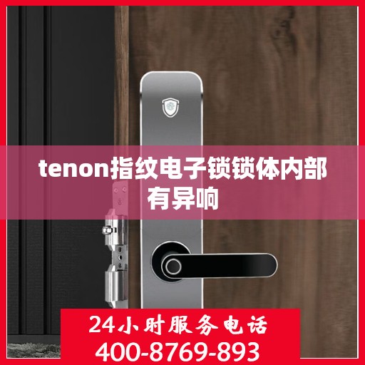 tenon指纹电子锁锁体内部有异响