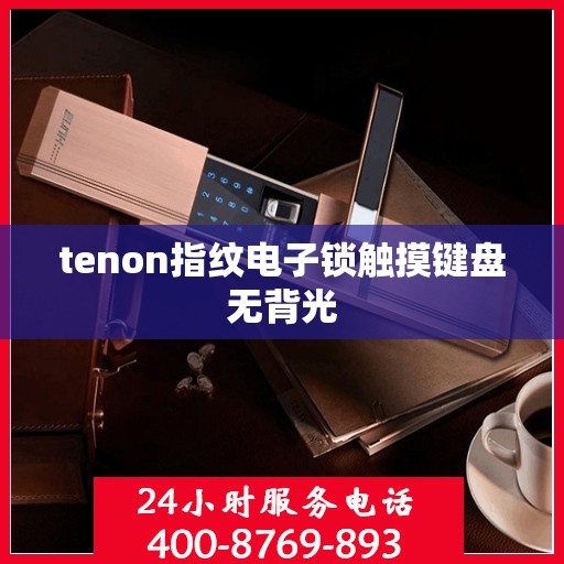 tenon指纹电子锁触摸键盘无背光