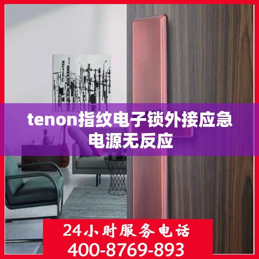 tenon指纹电子锁外接应急电源无反应
