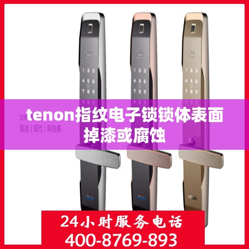 tenon指纹电子锁锁体表面掉漆或腐蚀