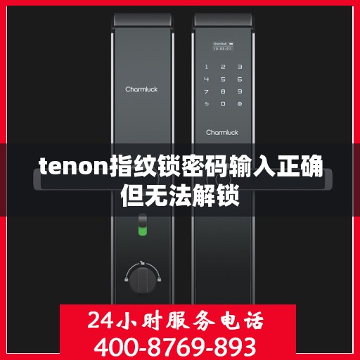 tenon指纹锁密码输入正确但无法解锁
