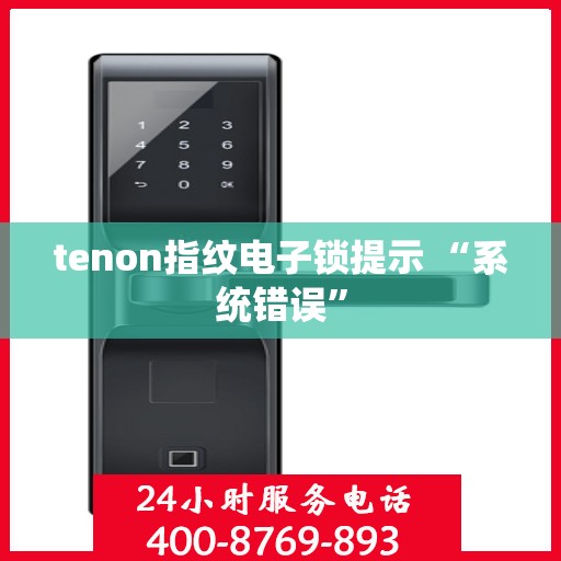tenon指纹电子锁提示 “系统错误”