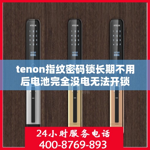 tenon指纹密码锁长期不用后电池完全没电无法开锁