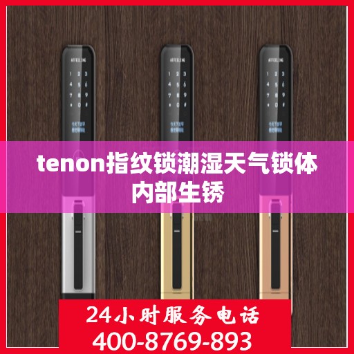 tenon指纹锁潮湿天气锁体内部生锈