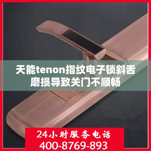 天能tenon指纹电子锁斜舌磨损导致关门不顺畅