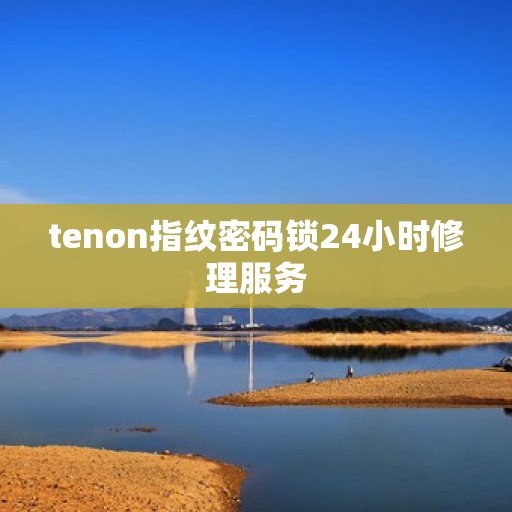 tenon指纹密码锁24小时修理服务
