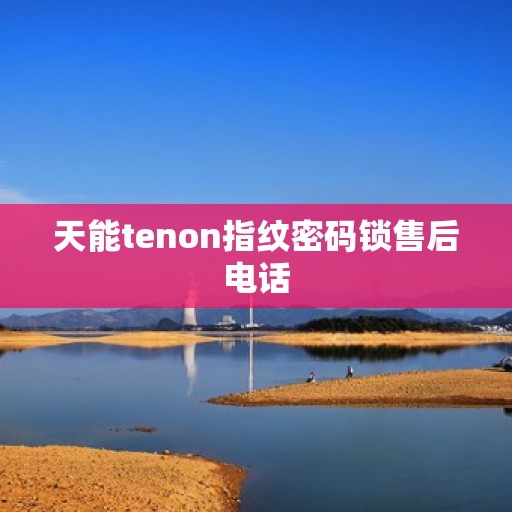 天能tenon指纹密码锁售后电话