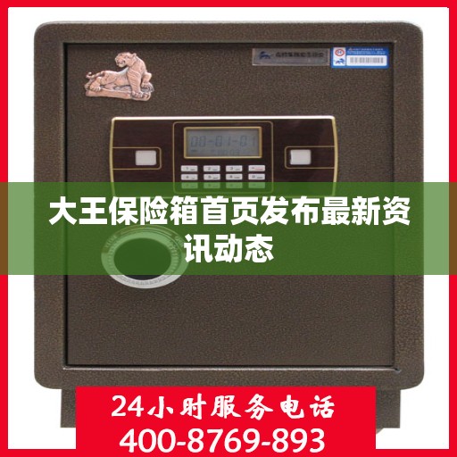 大王保险箱首页发布最新资讯动态