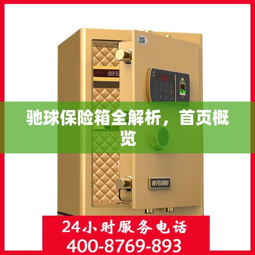驰球保险箱全解析，首页概览