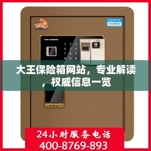 大王保险箱网站，专业解读，权威信息一览