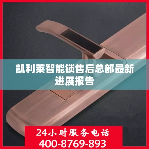 凯利莱智能锁售后总部最新进展报告