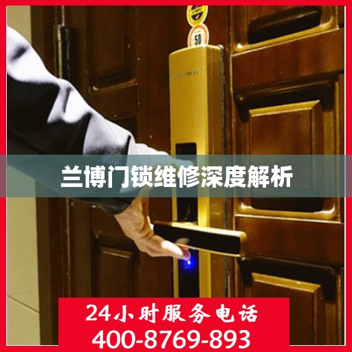 兰博门锁维修深度解析