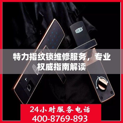 特力指纹锁维修服务，专业权威指南解读