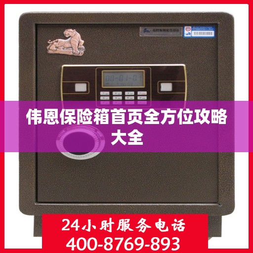 伟恩保险箱首页全方位攻略大全