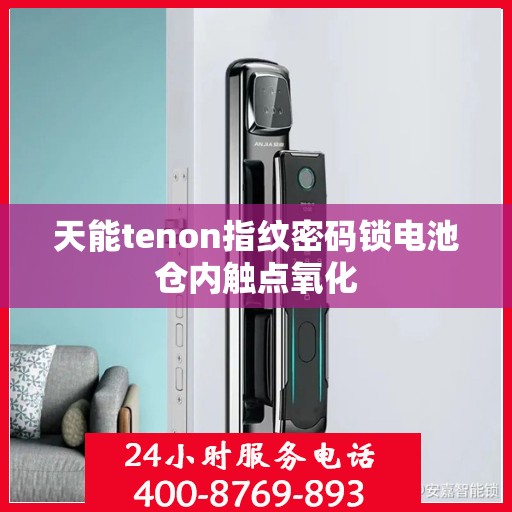 天能tenon指纹密码锁电池仓内触点氧化