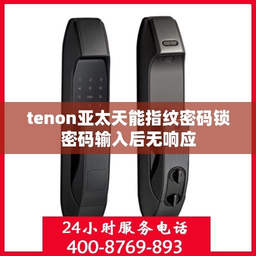 tenon亚太天能指纹密码锁密码输入后无响应