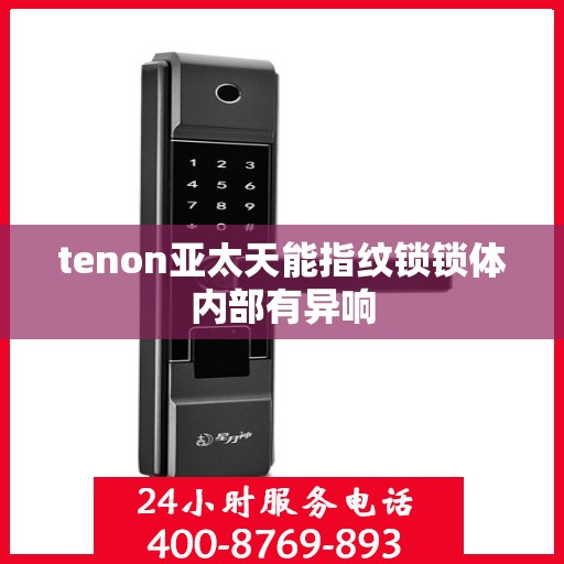 tenon亚太天能指纹锁锁体内部有异响