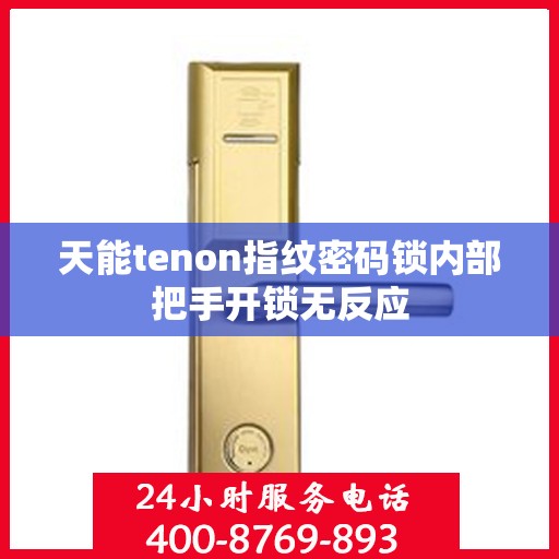 天能tenon指纹密码锁内部把手开锁无反应