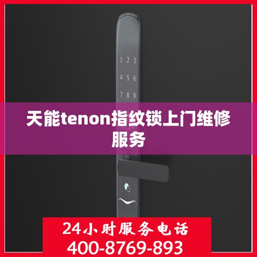 天能tenon指纹锁上门维修服务