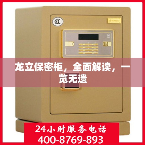 龙立保密柜，全面解读，一览无遗