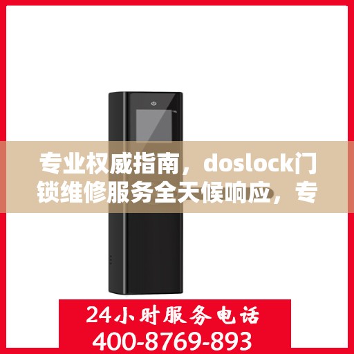 专业权威指南，doslock门锁维修服务全天候响应，专业维修团队为您排忧解难