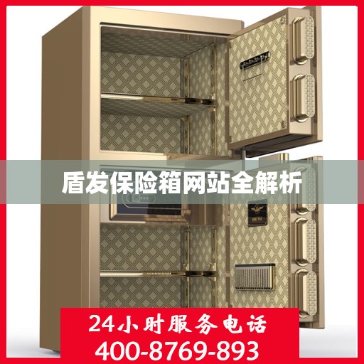 盾发保险箱网站全解析