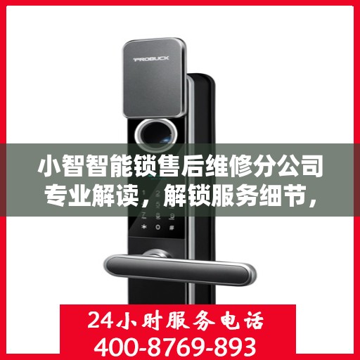 小智智能锁售后维修分公司专业解读，解锁服务细节，保障用户权益