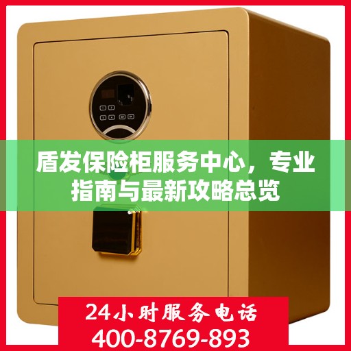 盾发保险柜服务中心，专业指南与最新攻略总览