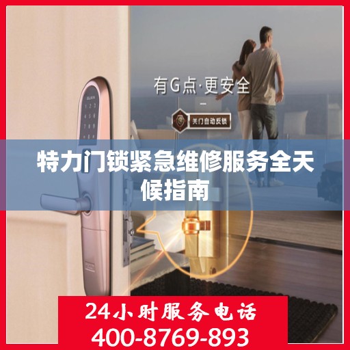 特力门锁紧急维修服务全天候指南
