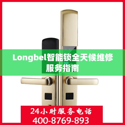 Longbel智能锁全天候维修服务指南