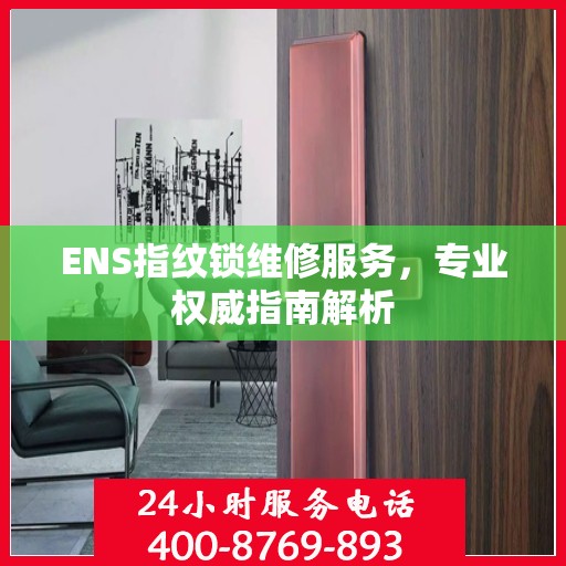 ENS指纹锁维修服务，专业权威指南解析