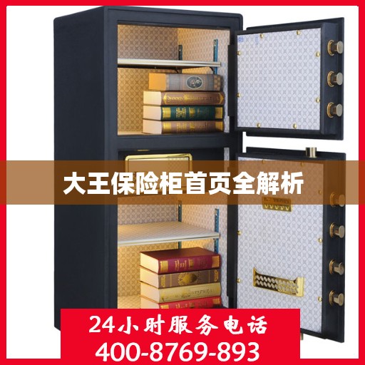 大王保险柜首页全解析