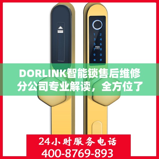 DORLINK智能锁售后维修分公司专业解读，全方位了解智能锁维修服务