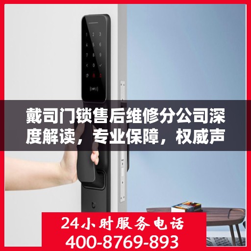 戴司门锁售后维修分公司深度解读，专业保障，权威声音