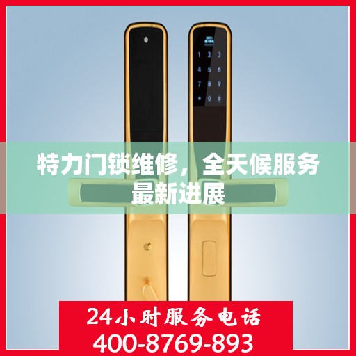 特力门锁维修，全天候服务最新进展