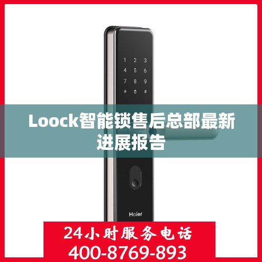 Loock智能锁售后总部最新进展报告