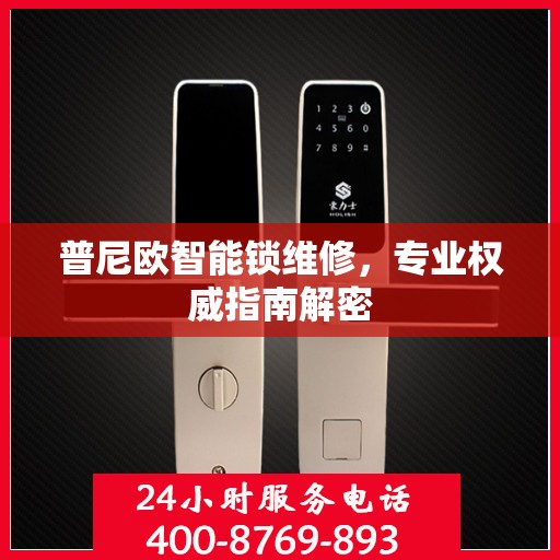 普尼欧智能锁维修，专业权威指南解密