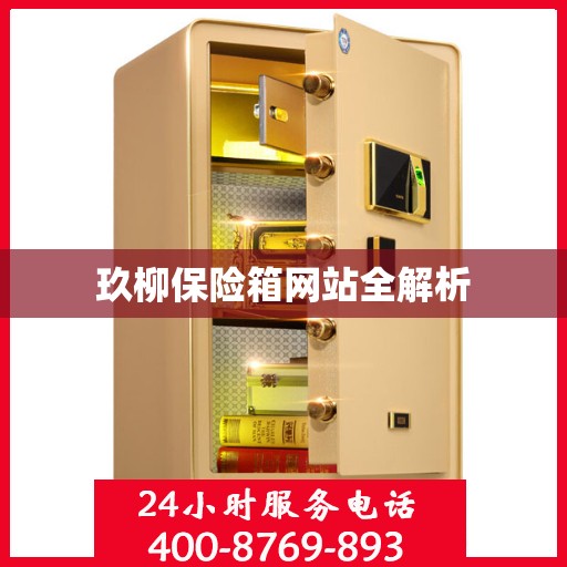 玖柳保险箱网站全解析