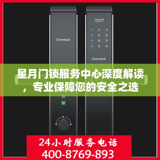 星月门锁服务中心深度解读，专业保障您的安全之选